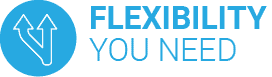 flexibility you need-netsuite